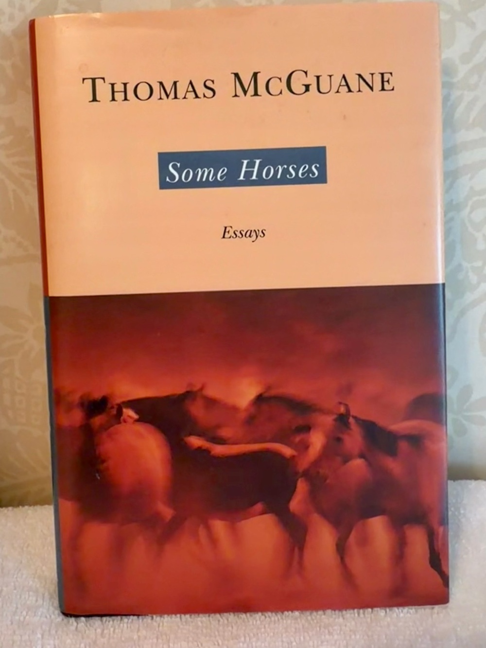 Thomas McGuane Some Horses Essays Hardcover 1999 First Edition – Like New